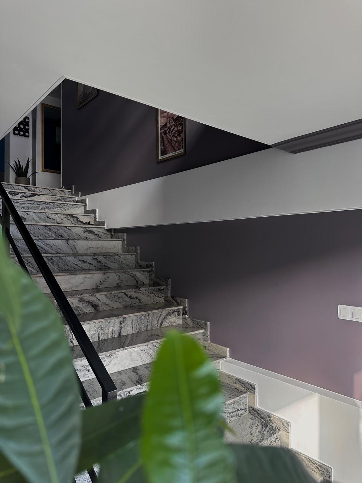 English House Bistrita  Exterior photo